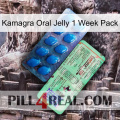 Kamagra Oral Jelly 1 Week Pack new02